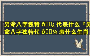 男命八字独特 🌿 代表什么「男命八字独特代 🌼 表什么生肖」